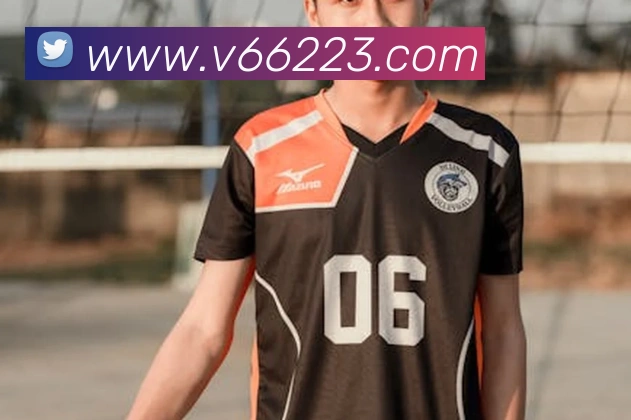 V66体育平台生态图